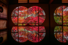 嵐山祐斎亭・紅葉リフレクション2