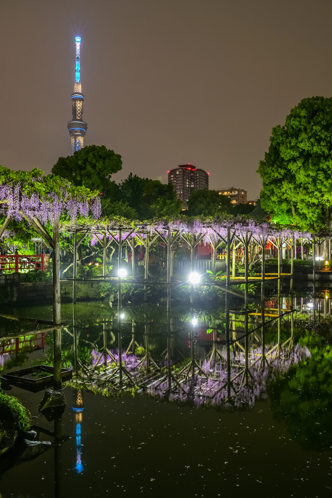 雨の亀戸天神