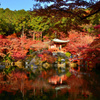 醍醐寺 弁天堂の紅葉