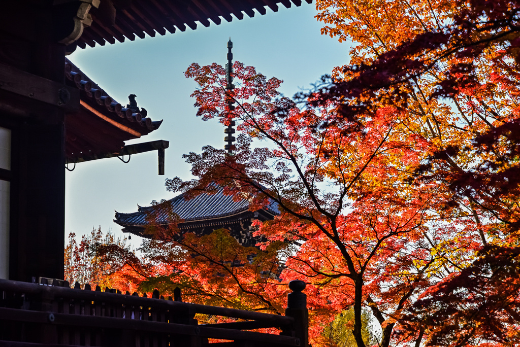 真如堂の紅葉2