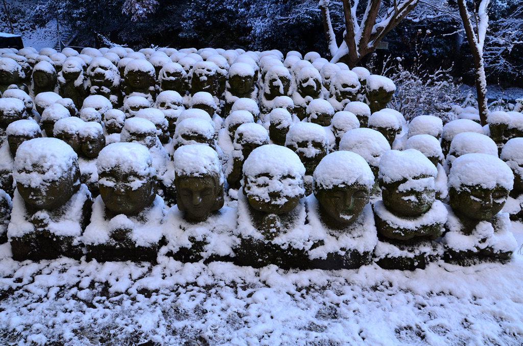 みんなでシャンプー