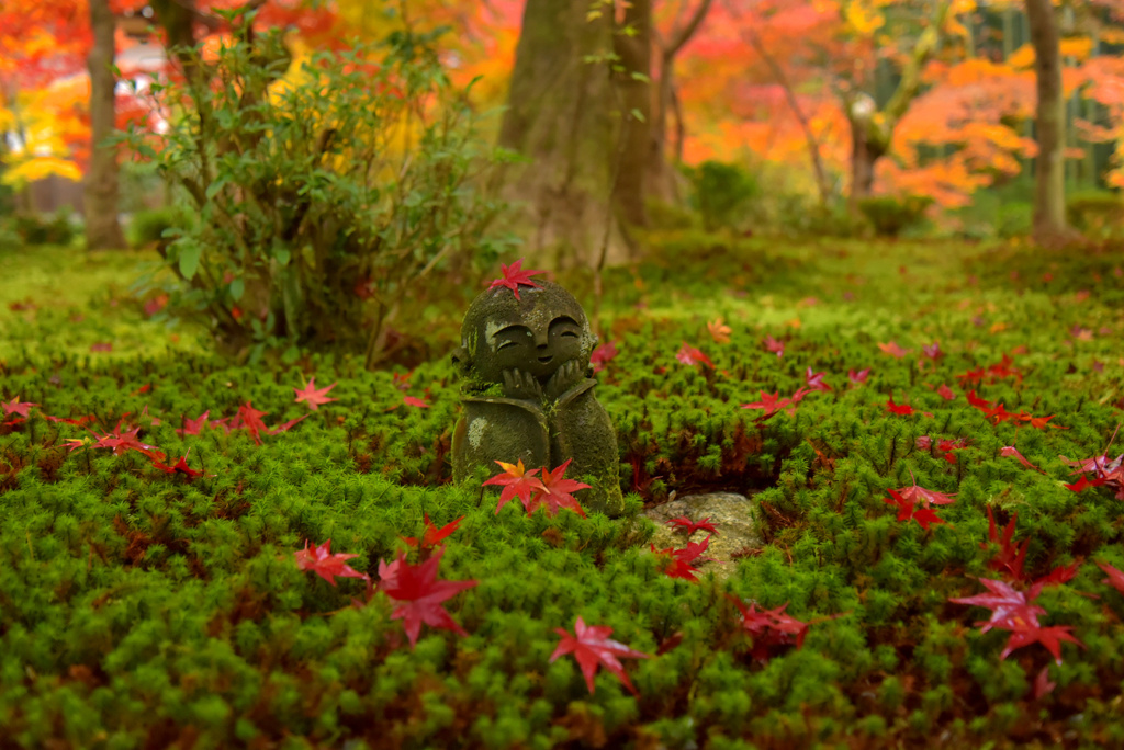 圓光寺のプチお地蔵さん