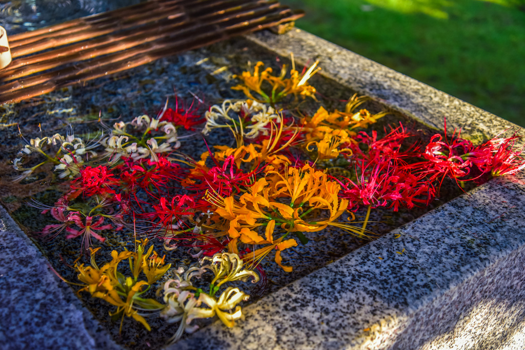 西方寺の花手水