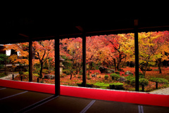 圓光寺の額縁紅葉