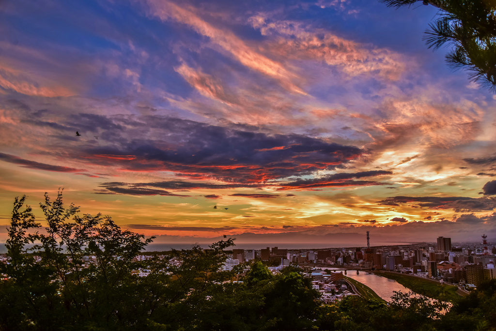 沼津夕景