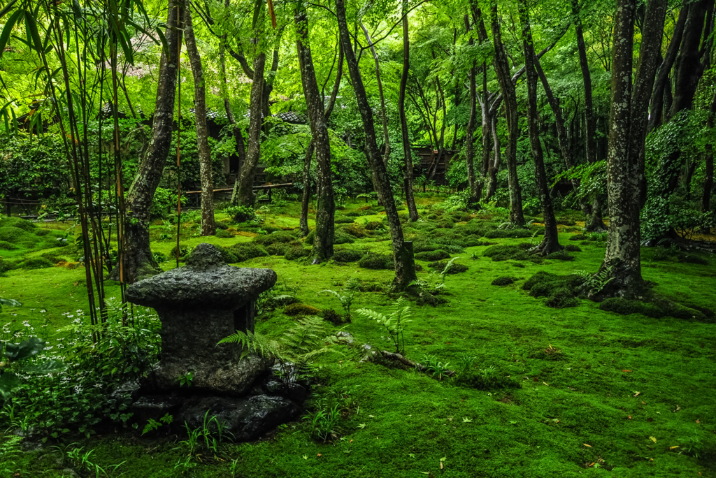 九年前の祇王寺