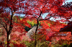 深紅の直指庵