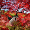 深紅の直指庵