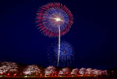 去年の辰ノ口さくら祭り