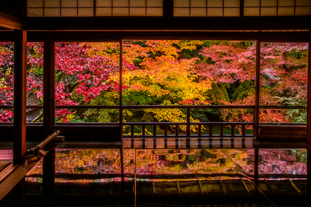 瑠璃光院の秋