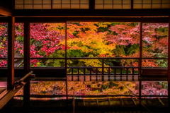 瑠璃光院の秋