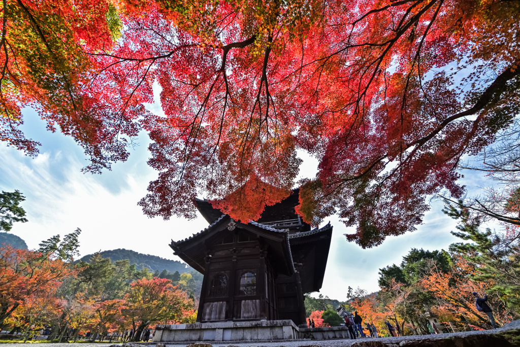 南禅寺の紅葉