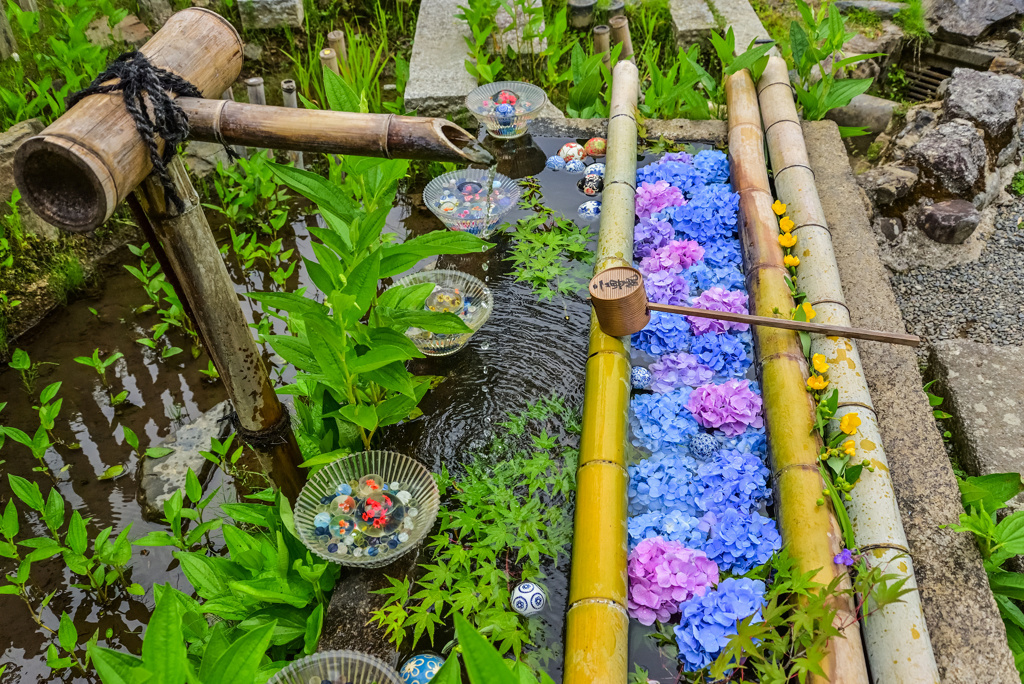 二尊院の花手水
