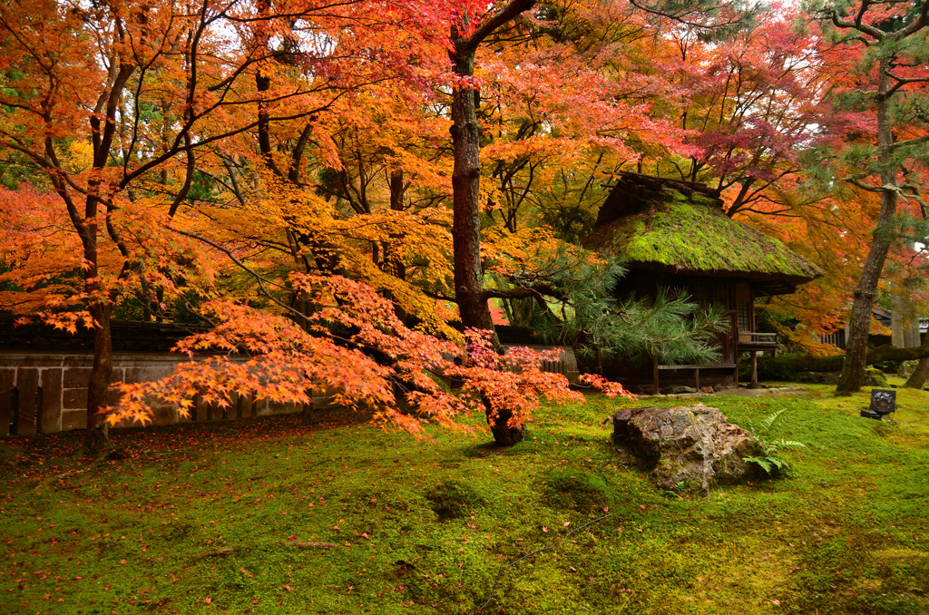 しょうざん庭園の紅葉