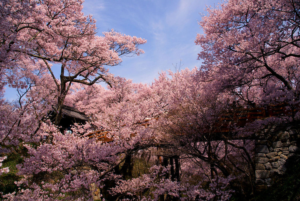 桜雲橋