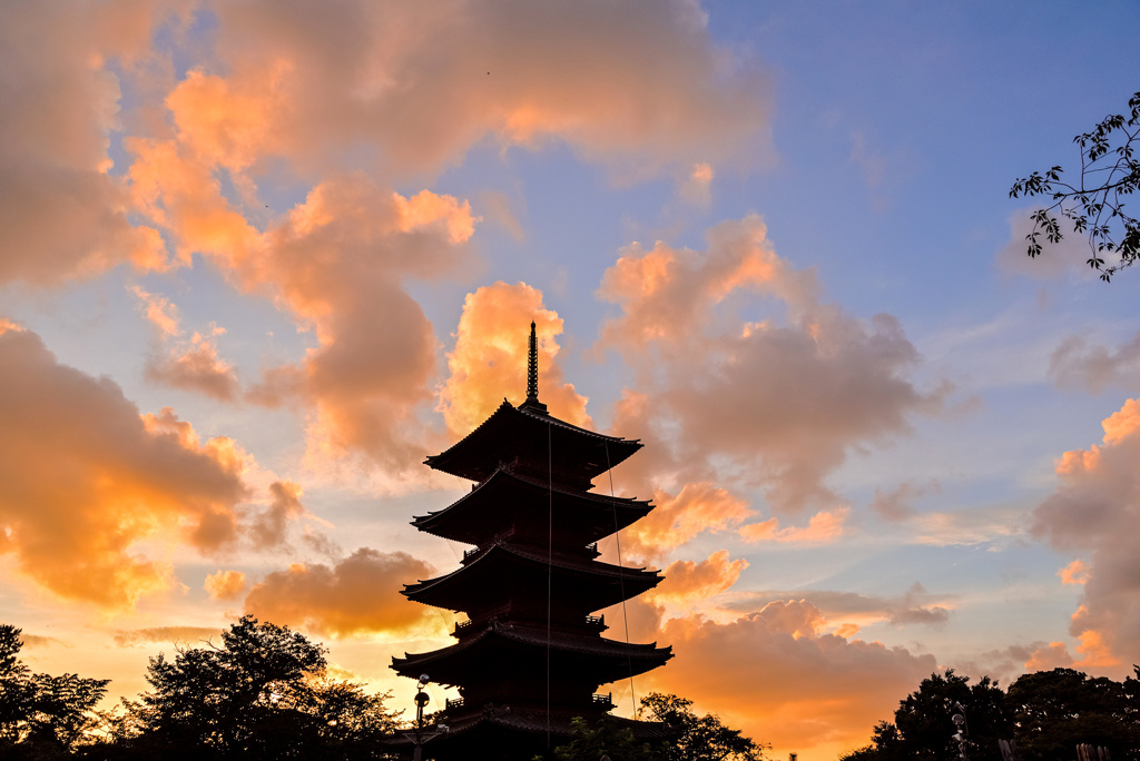 本門寺夕景