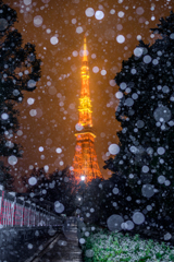 帰ってきた冬将軍: 東京タワー編