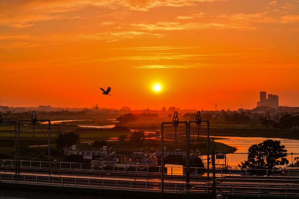 夕日に照らされて