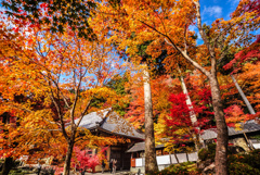 思い出の紅葉: 十年前の永源寺