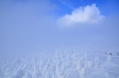 霧の中の樹氷群
