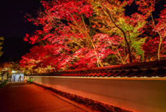 夜の永観堂(出し忘れ)