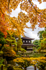 秋の銀閣寺