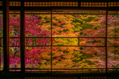 瑠璃光院の紅葉