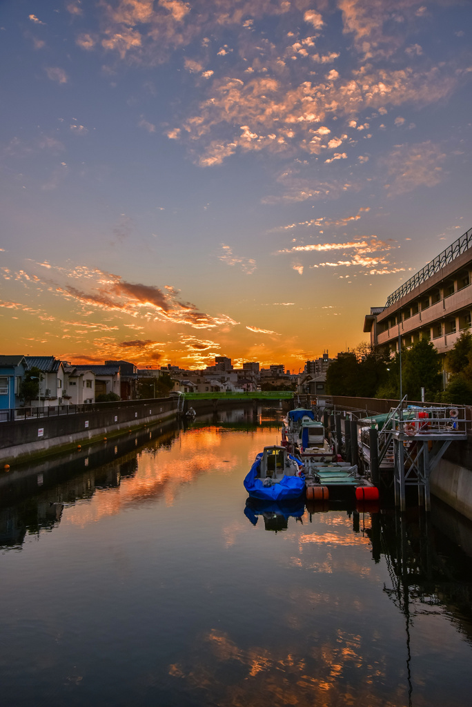 呑川の夕焼け