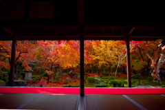 圓光寺の額縁紅葉