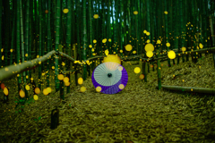 竹林のヒメボタル