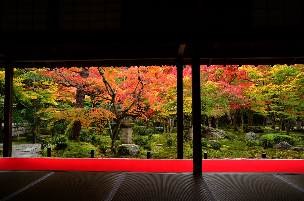 圓光寺の額縁紅葉