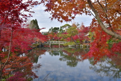 永観堂の紅葉