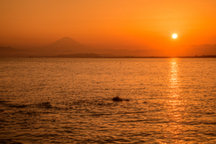 富士見浜の夕日