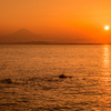 富士見浜の夕日