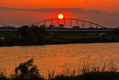 多摩川の夕日