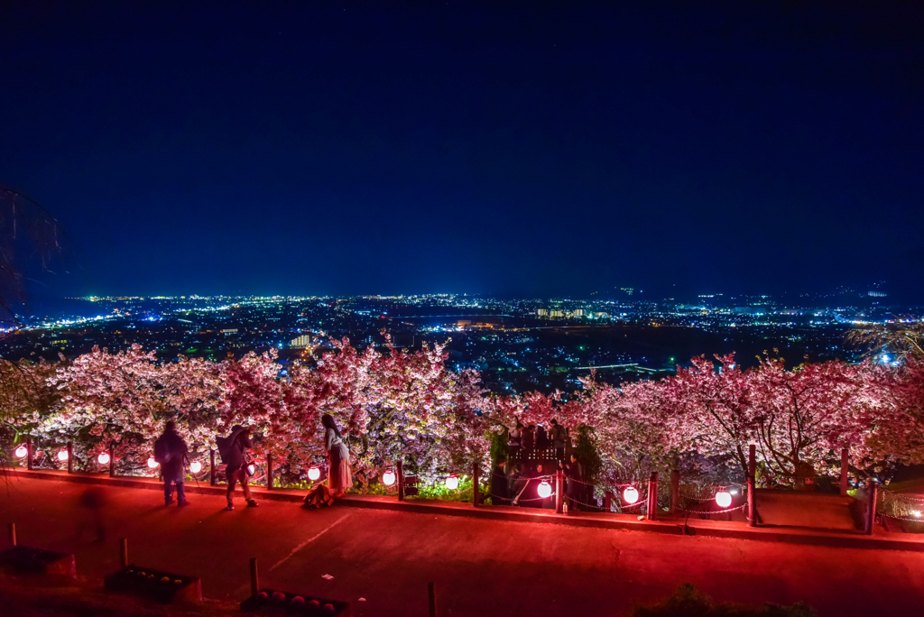まつだ桜まつり2