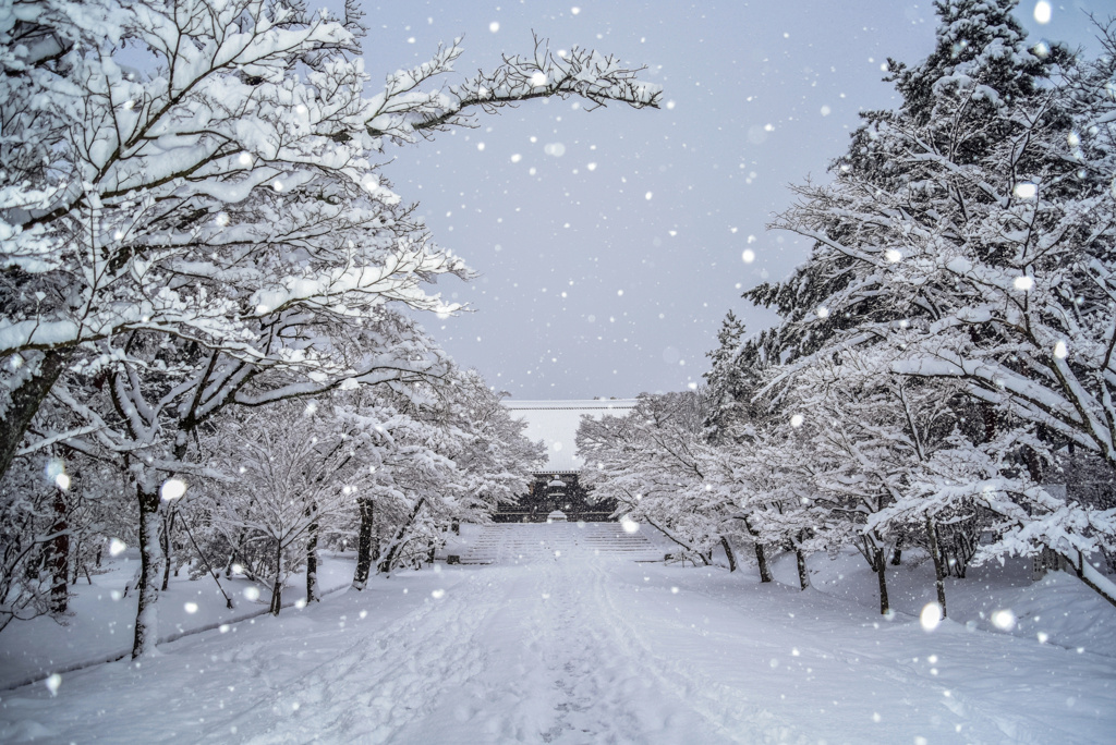 仁和寺雪景色(再編集版)