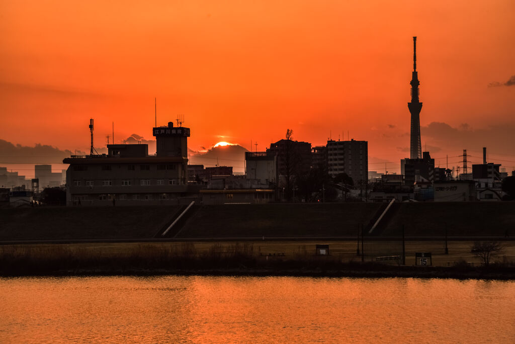 江戸川ダイヤモンド