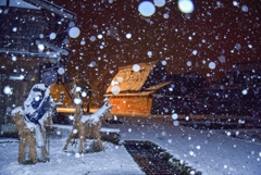 雪の白川郷2