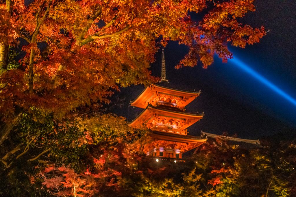 清水寺の紅葉(速報版)