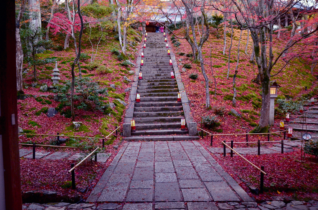常寂光寺の散紅葉
