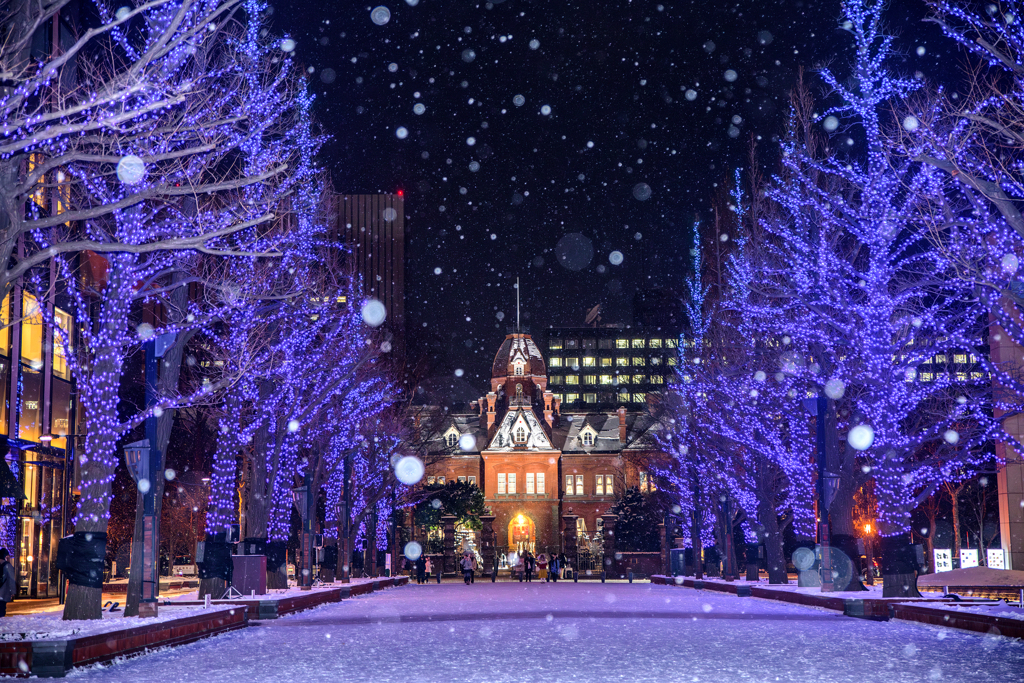 道庁赤レンガ庁舎の雪景色