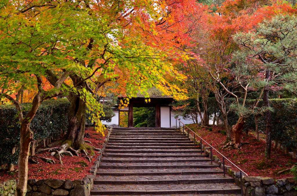 安楽寺参道