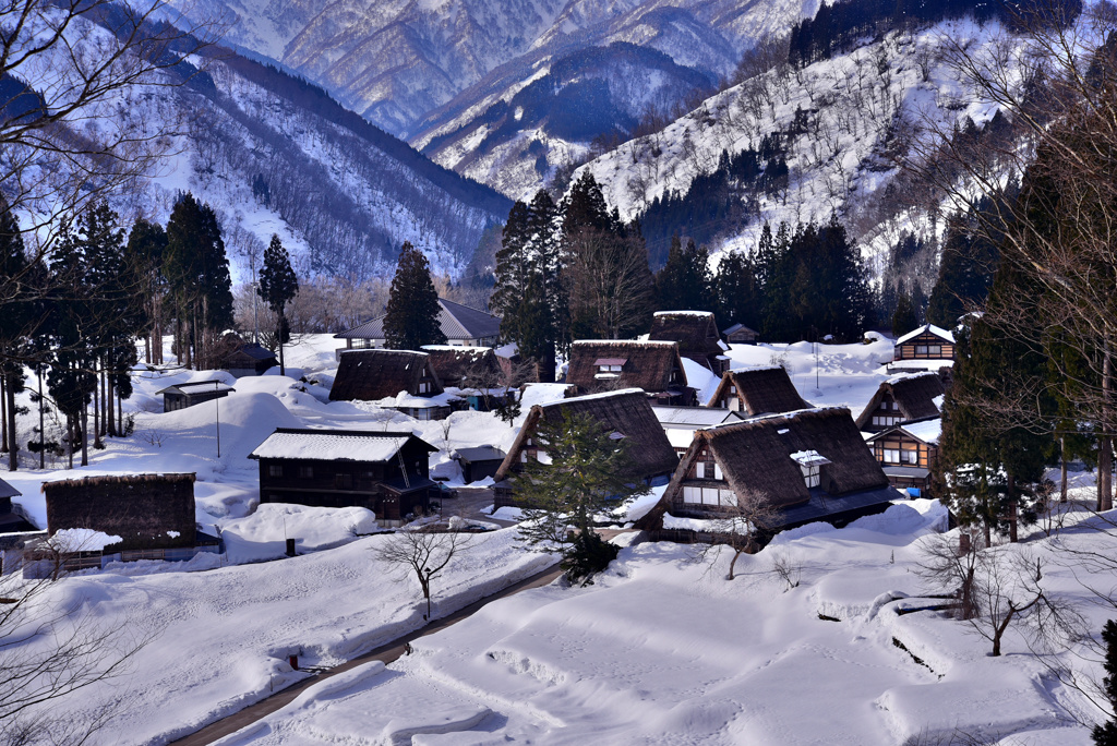 残雪の五箇山・相倉集落