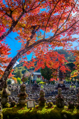 化野念仏寺の紅葉