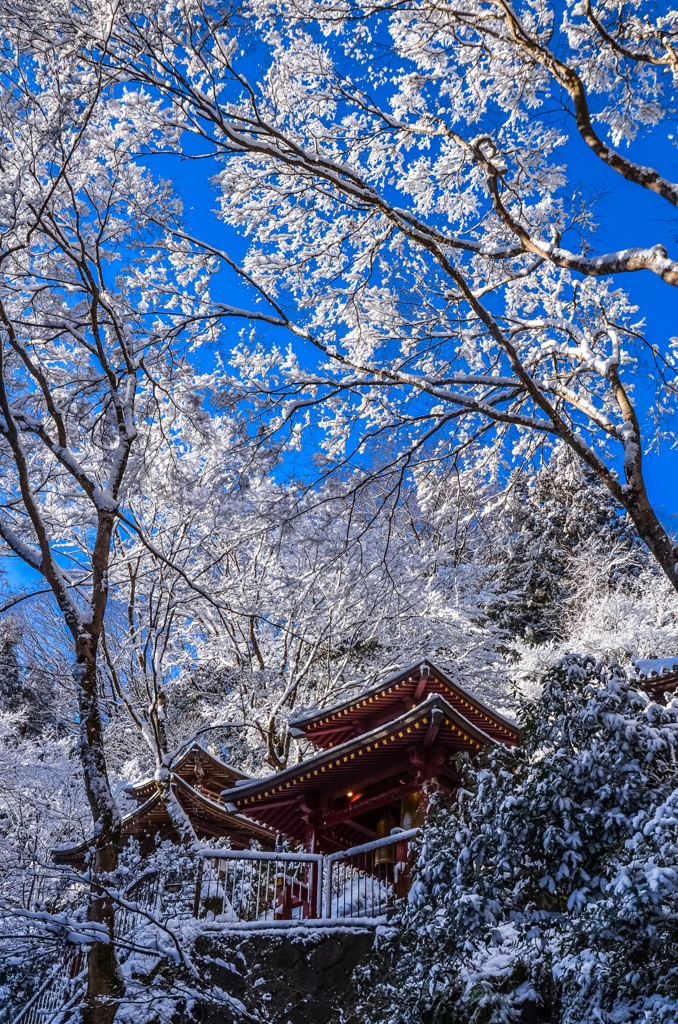 愛宕念仏寺雪景色(再編集版)