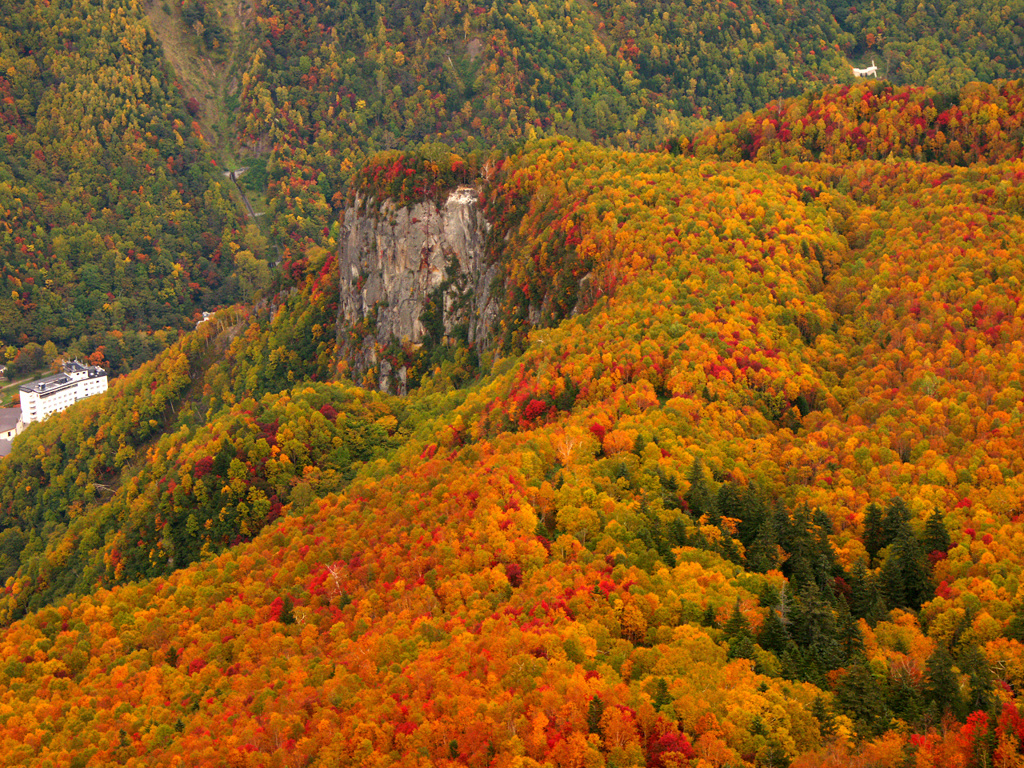 黒岳五合目の紅葉