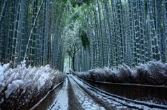 竹林の小路雪景色