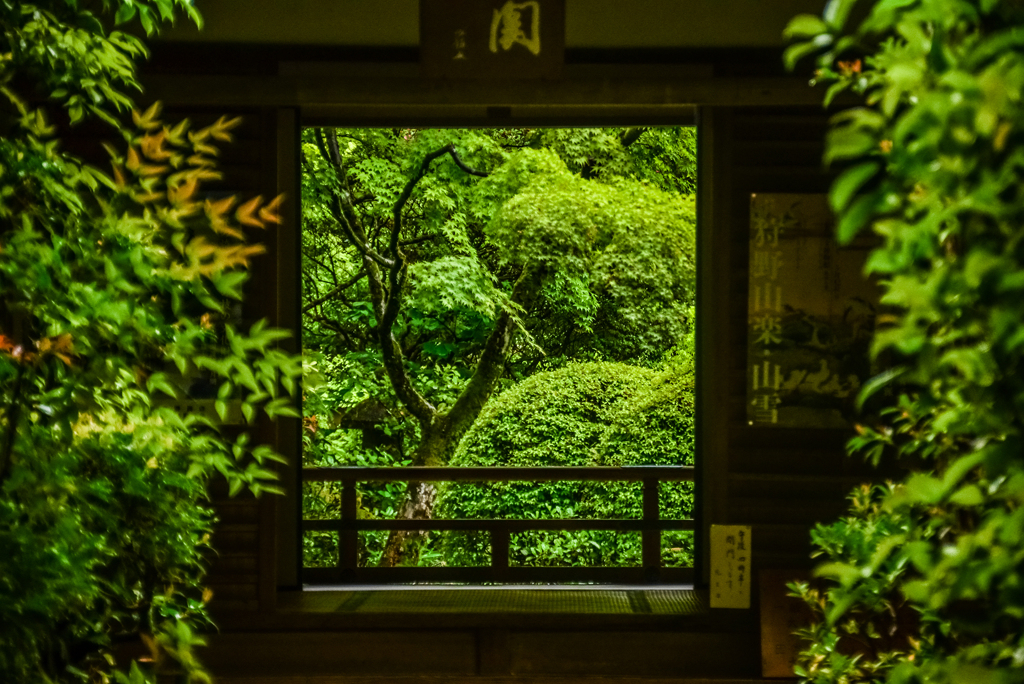 七年前の高桐院 額縁新緑