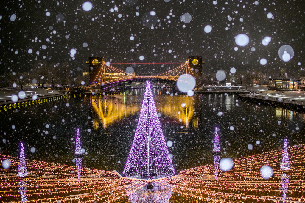 環水公園のイルミネーション